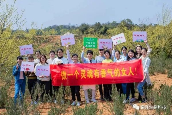 湖南諾澤生物科技有限公司,湖南健康植物提取物,保健品的原料有哪些,哪家公司的植物提取質量更好 湖南諾澤生物科技有限公司,湖南健康植物提取物,保健品的原料有哪些,哪家公司的植物提取質量更好