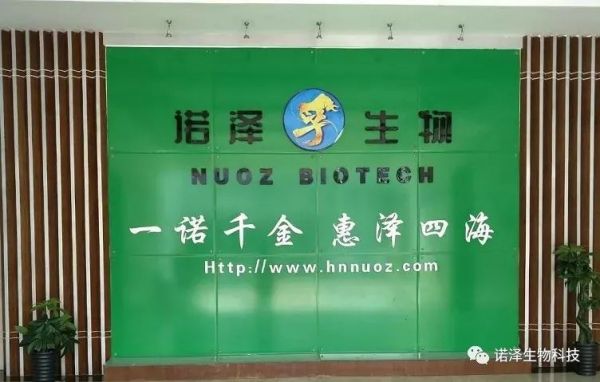 湖南諾澤生物科技有限公司,湖南健康植物提取物,保健品的原料有哪些,哪家公司的植物提取質量更好 湖南諾澤生物科技有限公司,湖南健康植物提取物,保健品的原料有哪些,哪家公司的植物提取質量更好